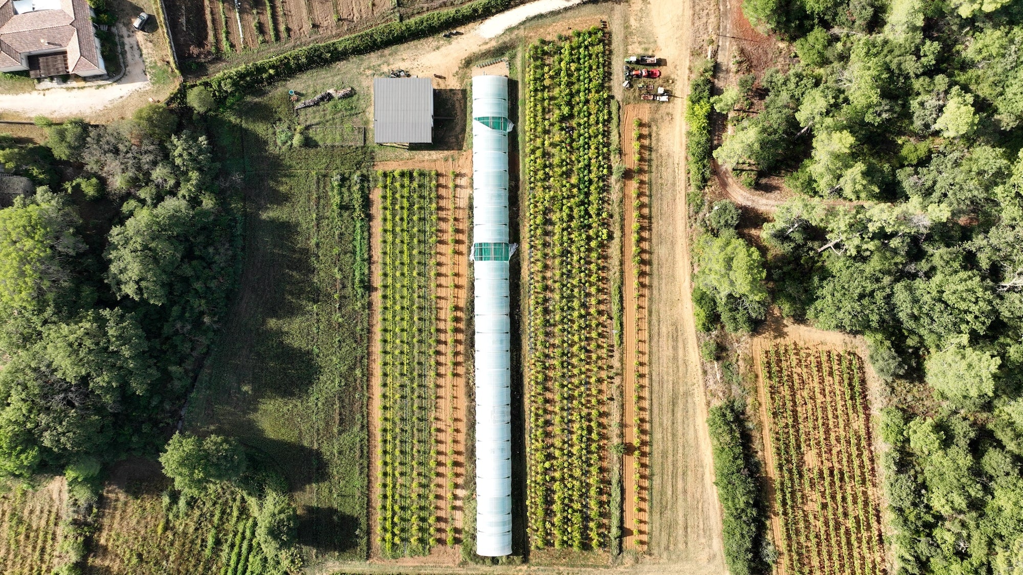 La ferme de manjolive vue du ciel
