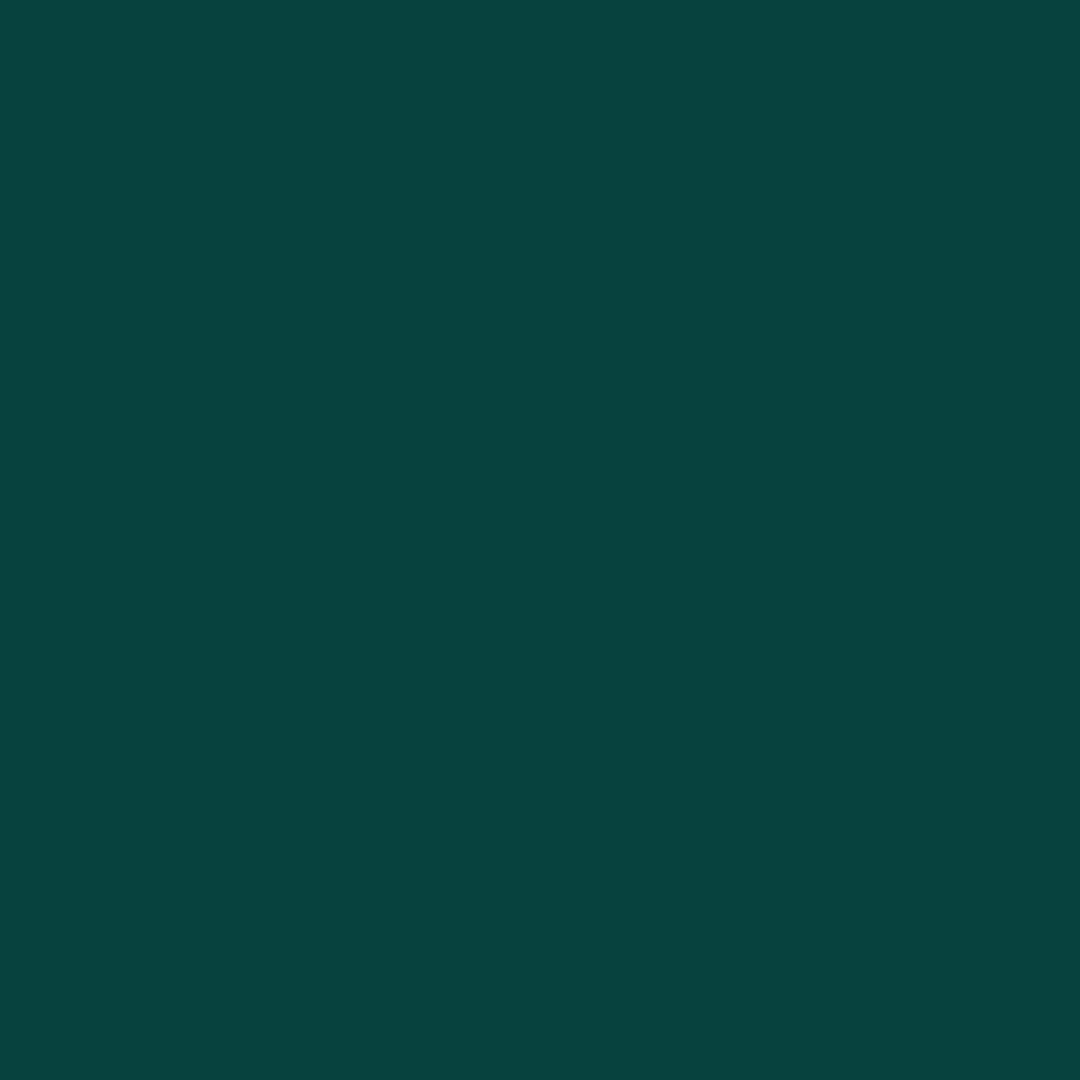 fond-vert.png