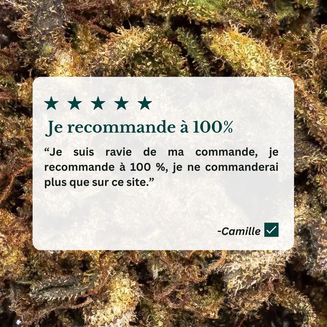 Avis sur les fleurs cbd bio de manjolive