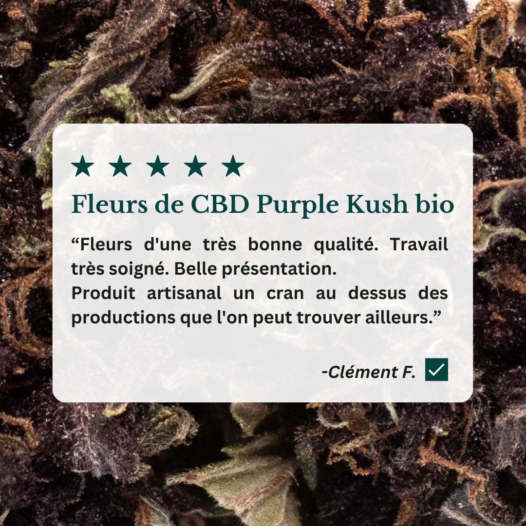 Avis positif sur les bienfaits des fleurs cbd manjolive