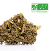 Fleurs CBD Green Kush avec logo bio AB