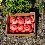 plein de grenades dans un carton