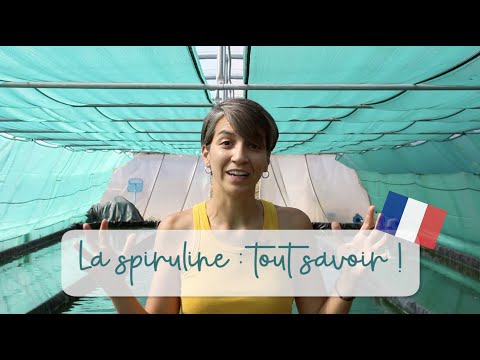 Charger la vidéo : la spiruline, c&#39;est quoi ?