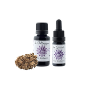 Huile CBG la Géniale 5%, Huile de massage CBG, Fleurs de CBD White Queen