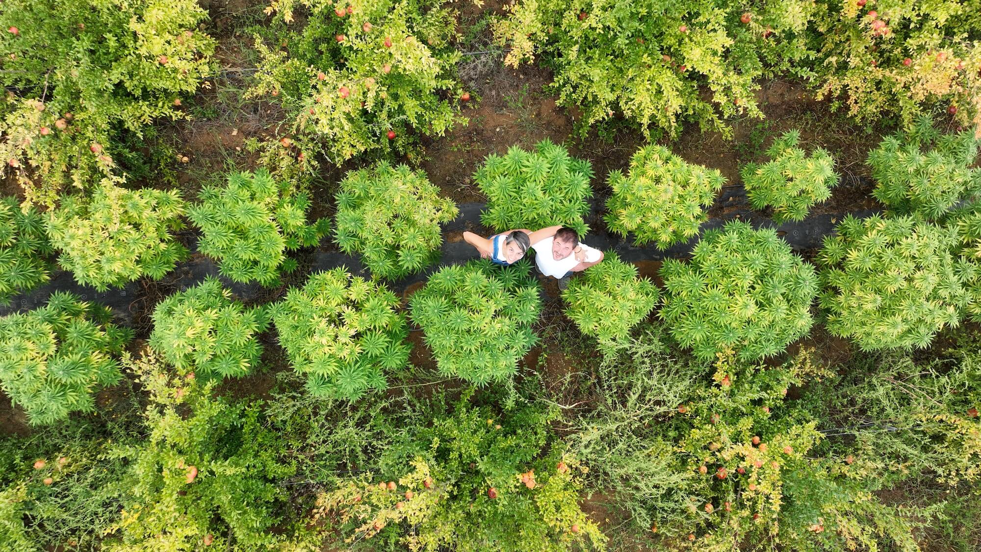 Portrait de l'équipe