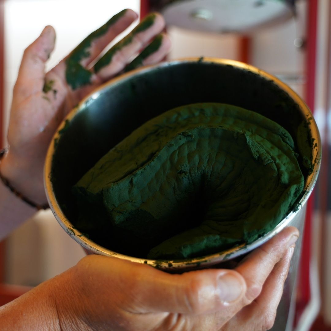 spiruline-production.jpg